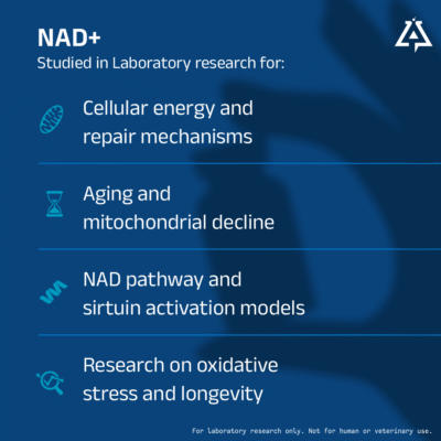NAD+ - Image 2