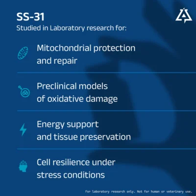 SS-31 - Image 2