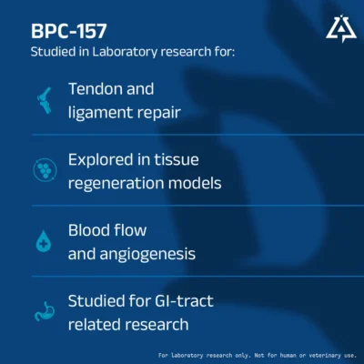 BPC-157 - Image 3